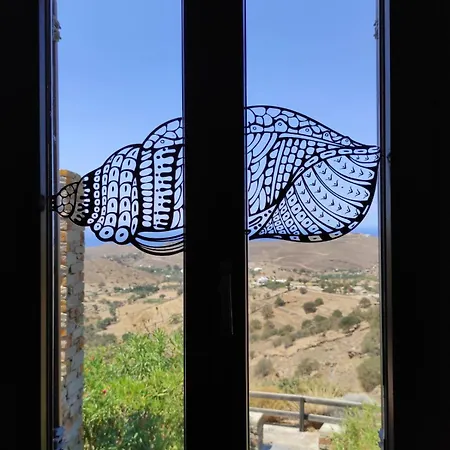 Kea's Hidden Diamond Otziás